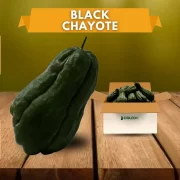 Black Chayote