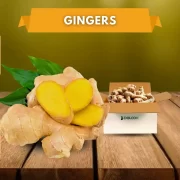 Gingers