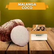 Malanga Coco