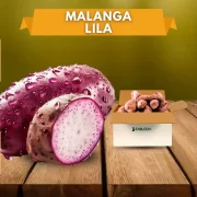 Malanga Lila