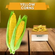 Yellow Corns